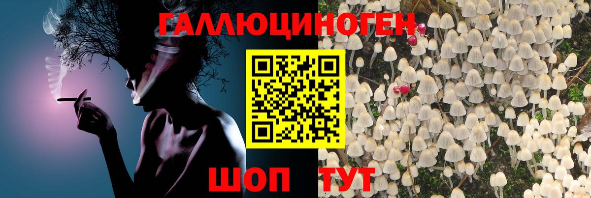 Галлюциногенные грибы прущие грибы  Вход с VPN  Псилоцибиновые грибы Psilocybine cubensis  Назрань 